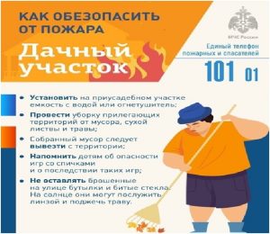Безымянный