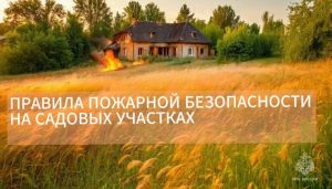 mchs-rossii-napominaet-soblyudayte-pravila-pozharnoy-bezopasnosti-na-sadovyh-uchastkah_1721721359527035973__2000x2000__watermark